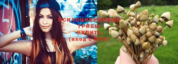 эйфоретик Баксан