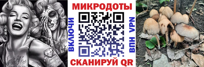 Галлюциногенные грибы Psilocybe  купить  цена  Воронеж 